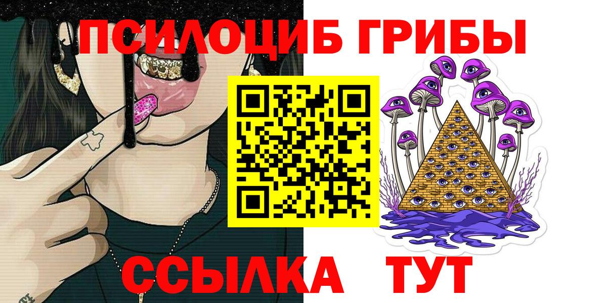 Псилоцибиновые грибы прущие грибы Кандалакша