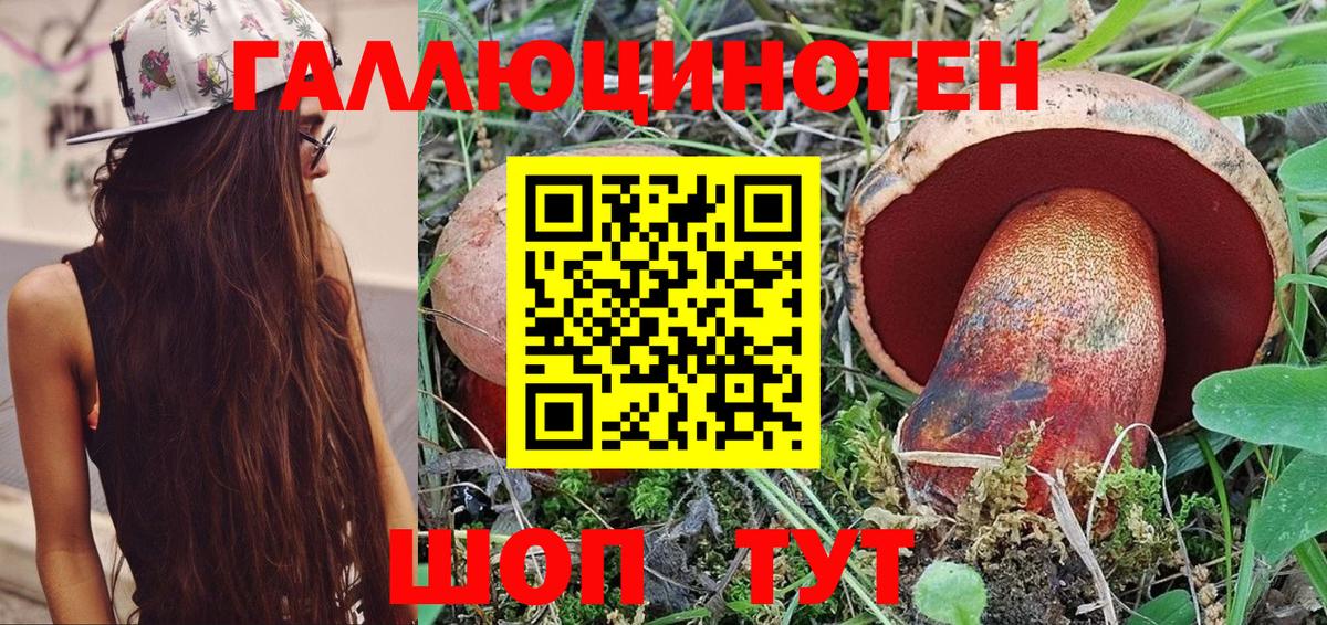 наркотики  Кандалакша  Галлюциногенные грибы MAGIC MUSHROOMS 