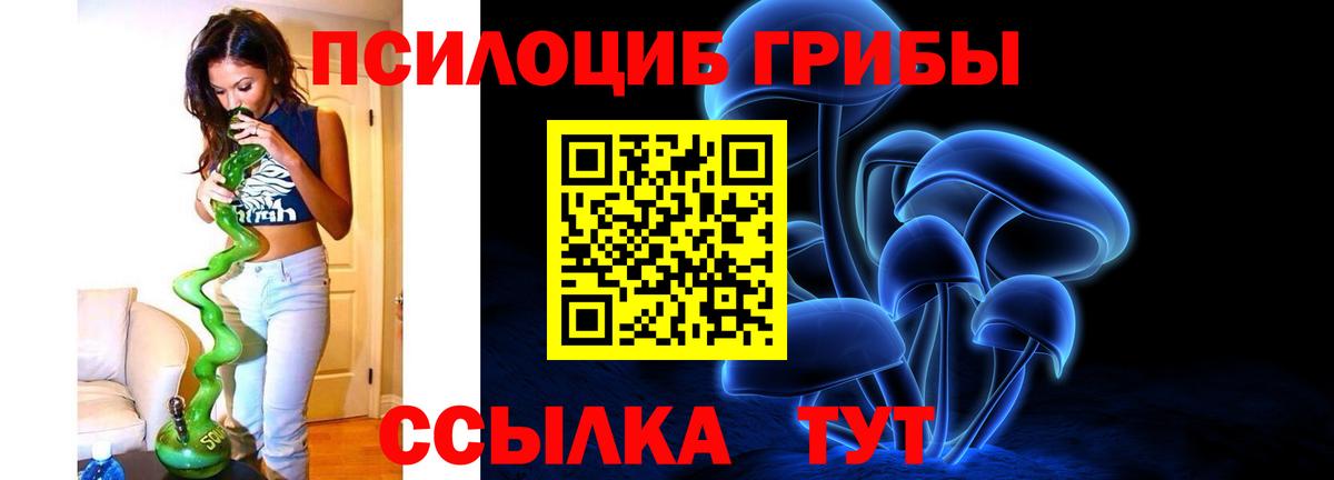 Галлюциногенные грибы Cubensis  Вход с VPN  Кандалакша 